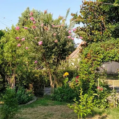 Vila Calda Ospitalita Nea Karya Exteriér fotografie
