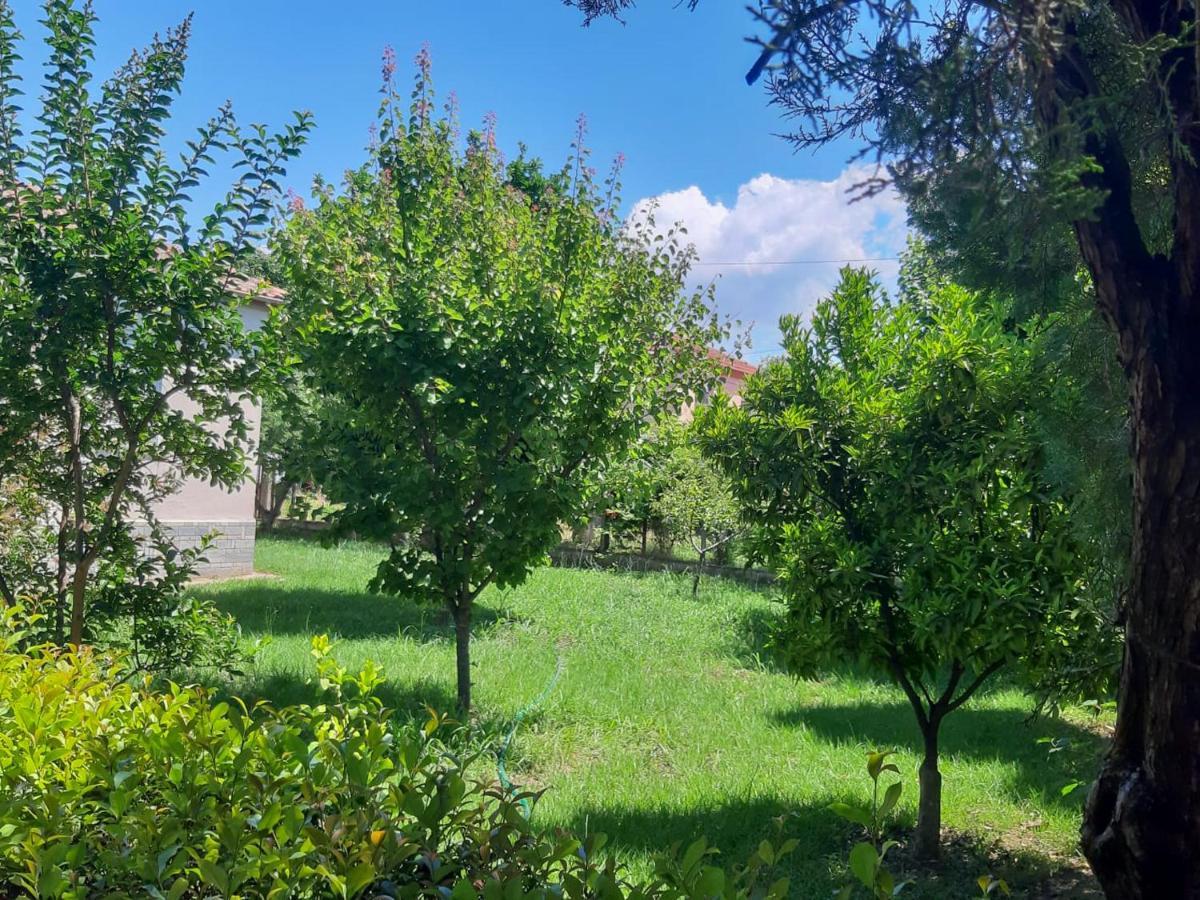 Calda Ospitalita Nea Karya