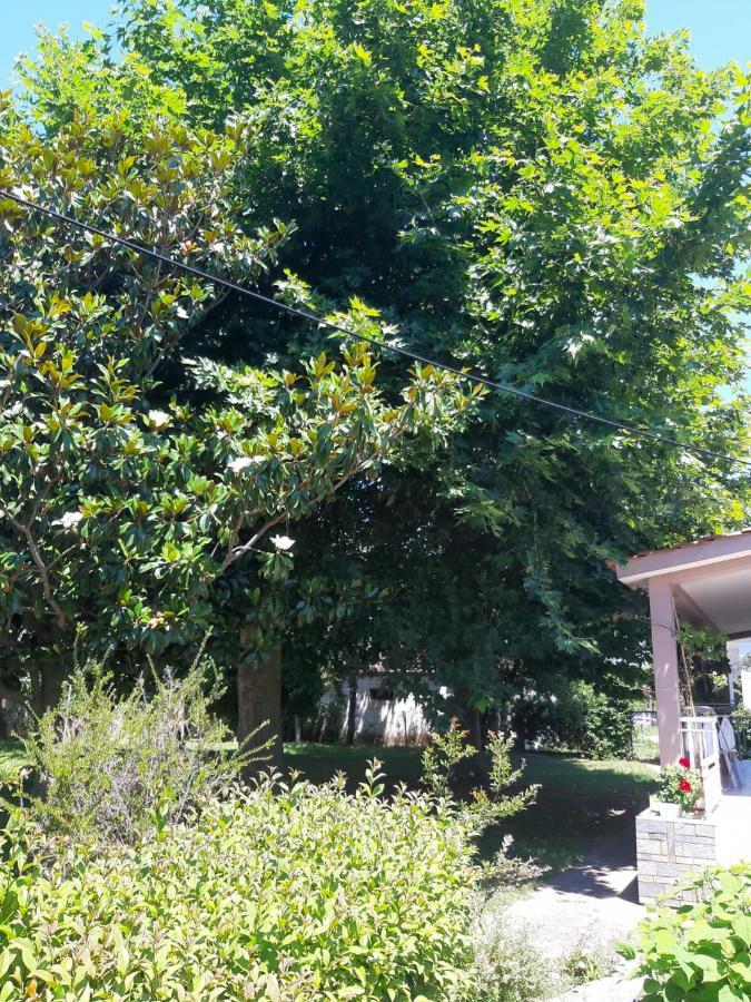 Calda Ospitalita Ferienhaus Nea Karya